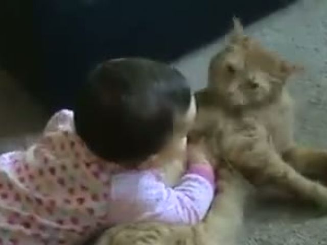 Baby Pampered With Cat