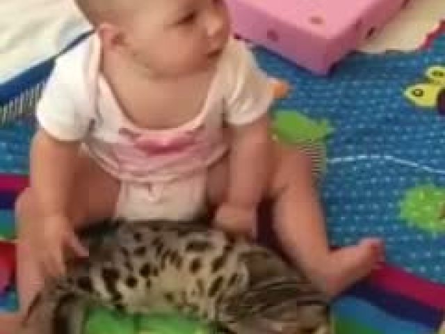 Cute Baby And Cat