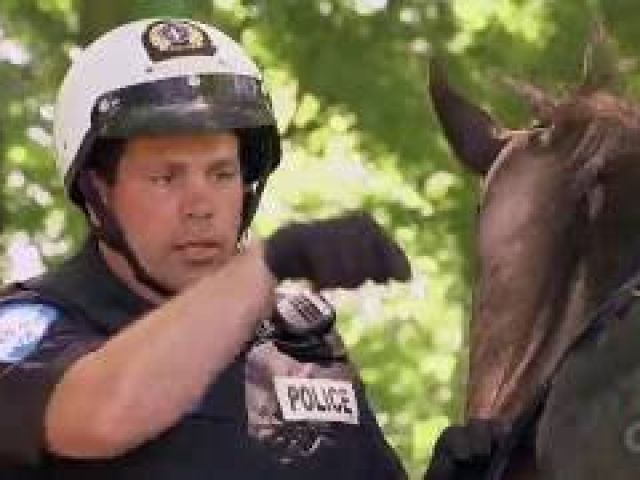 Cop Goes Horse Riding Backwards!