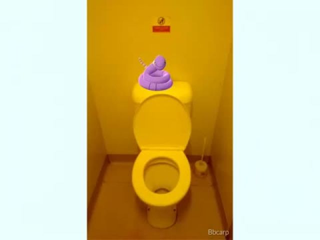 Pokemon Go Catching Fail Funny - Why Pokemon Like Toilet