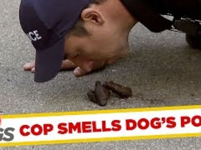 Cop Sniffs Dog Poop