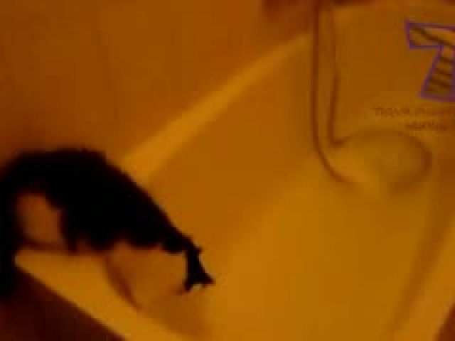 Cats just don't want to bathe - Funny cat bathing compilation