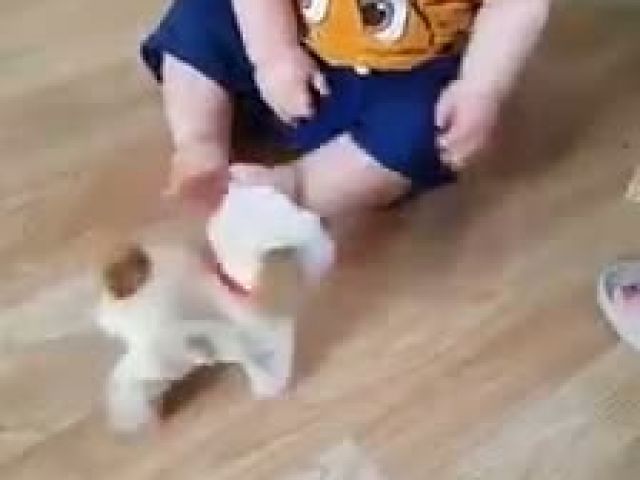 This adorable little guy loves his new toy!