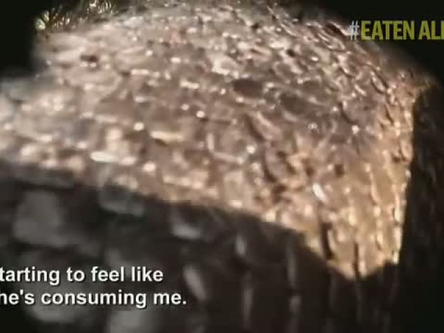 Man Get 'Eaten Alive' By Anaconda