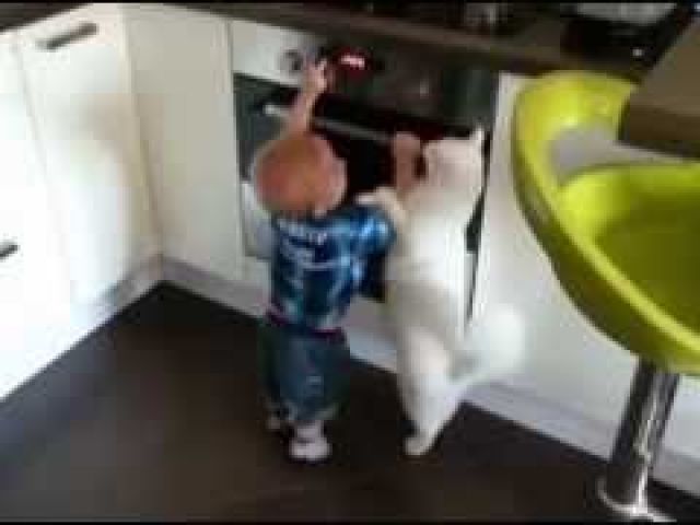 Cat Protects Baby Boy From Touching a Hot Stove