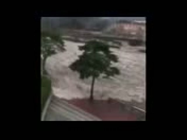 Typhoon Chaba hits Busan Korea