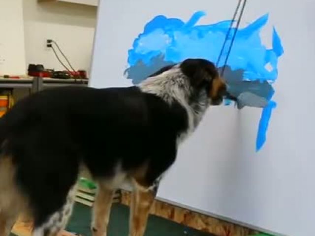 Talented Dog Artist