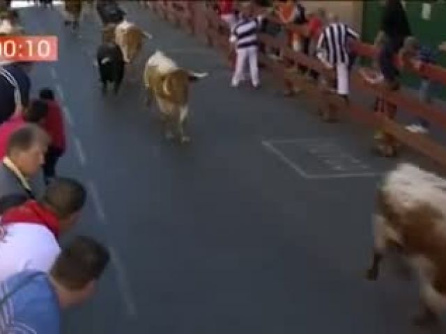 Primer encierro de la Fiestas de San Sebastián de los Reyes con reses de la ganadería de Juan Albarrán.