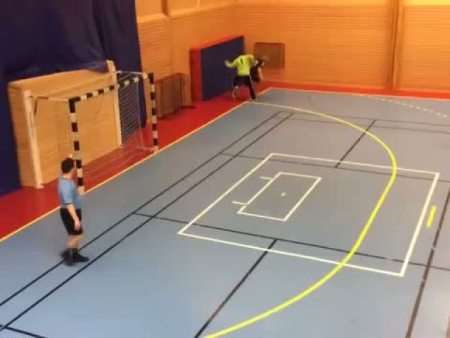 Handball fight