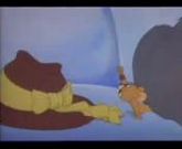 tom and jerry episode 5 full