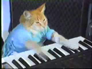 Charlie Schmidts The Keyboard Cat