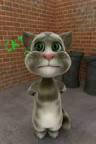 pacchi bootulu by talking tom