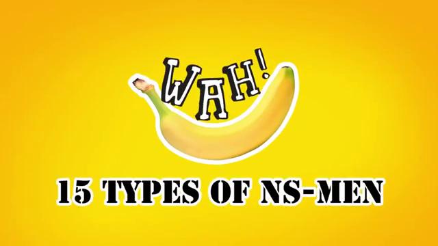 15 Types of NSmen