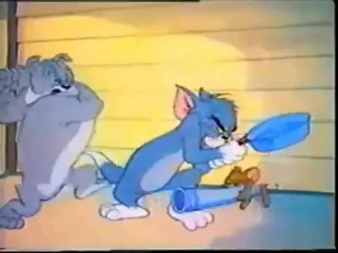 Tom And Jerry Funny Fighting Punjabi Song