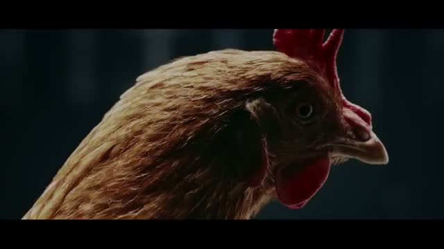 Mercedes-Benz TV- MAGIC BODY CONTROL TV commercial Chicken