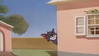 Tom and Jerry 1952 to 2013 Classic Cartoons