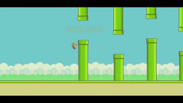 Chuck Norris Vs Flappy Bird