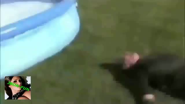 Waterslide Fail compilation