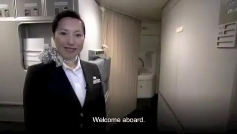 Japan Airlines On Board - Boeing 777