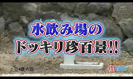 Funny Japanese - waterfountion prank