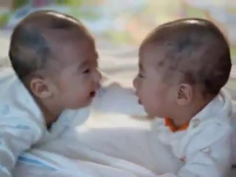 Korean Twins Cute Baby Fight