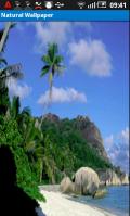 Nature 3Ds 1