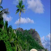 Nature 3D Live Wallpapers 1 Free