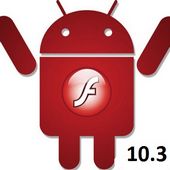 flash player 10.3{armv6}