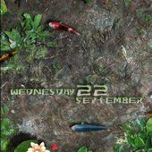 3D Koi Pond Live Wallpaper for Android