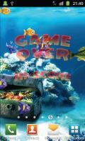Crazy Fish Live Wallpaper Free