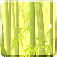 Bamboo Forest Live Wallpaper