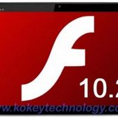 Adobe Flash Player 10.2.