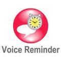 Voice Reminder