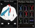 Perfect Necktie