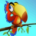 Pappy Parrot