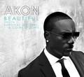 Akon-Beautifull With Lrc