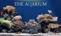 The Aquarium Pico Brothers