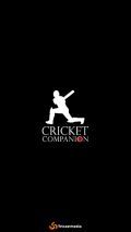 Cricket Campanion