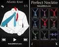 Perfect Necktie App For Nokia S60v53 Mo