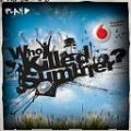 Siapa yang dibunuh musim panas? (128x128)