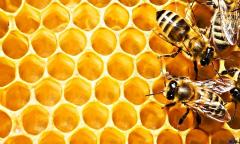 Honeycomb HD Wallpapers