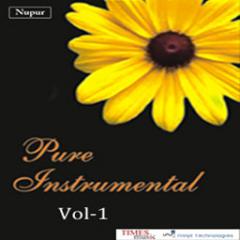 Pure Instrumental Vol 1 Lite