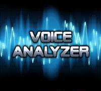 Voice Analyzer "320x240"!!!