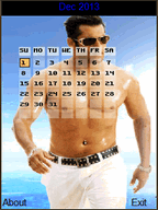 Bollywood Hero Calendar 2013