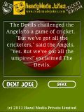 ReadyMade Jokes Cricket Edition