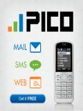 Pico Web Java