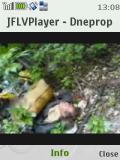 JFLV Player