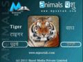 MPustak Hayvanlar (Marathi-İngilizce) 320x240