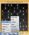 Sensible Sudoku 2