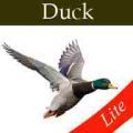 Duck Hunting Calls Lite v.100